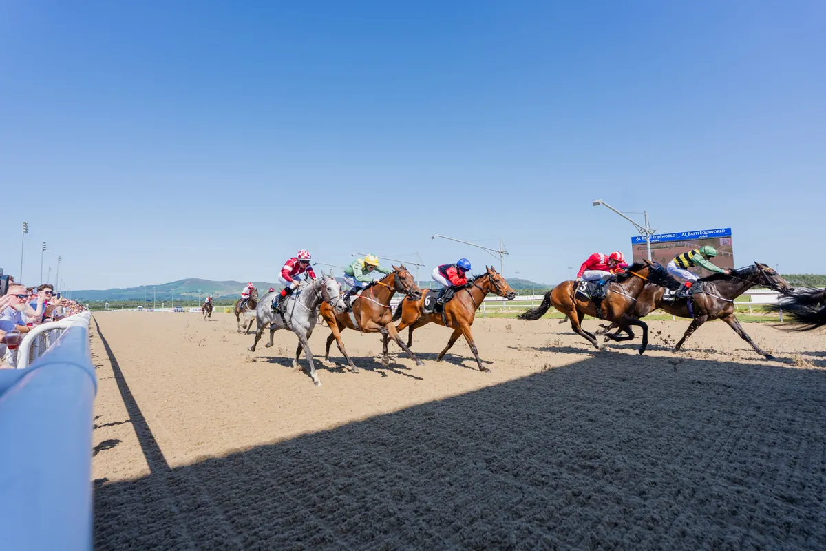 A field of horses racing down the straight in sunshine, mountains on the horizon