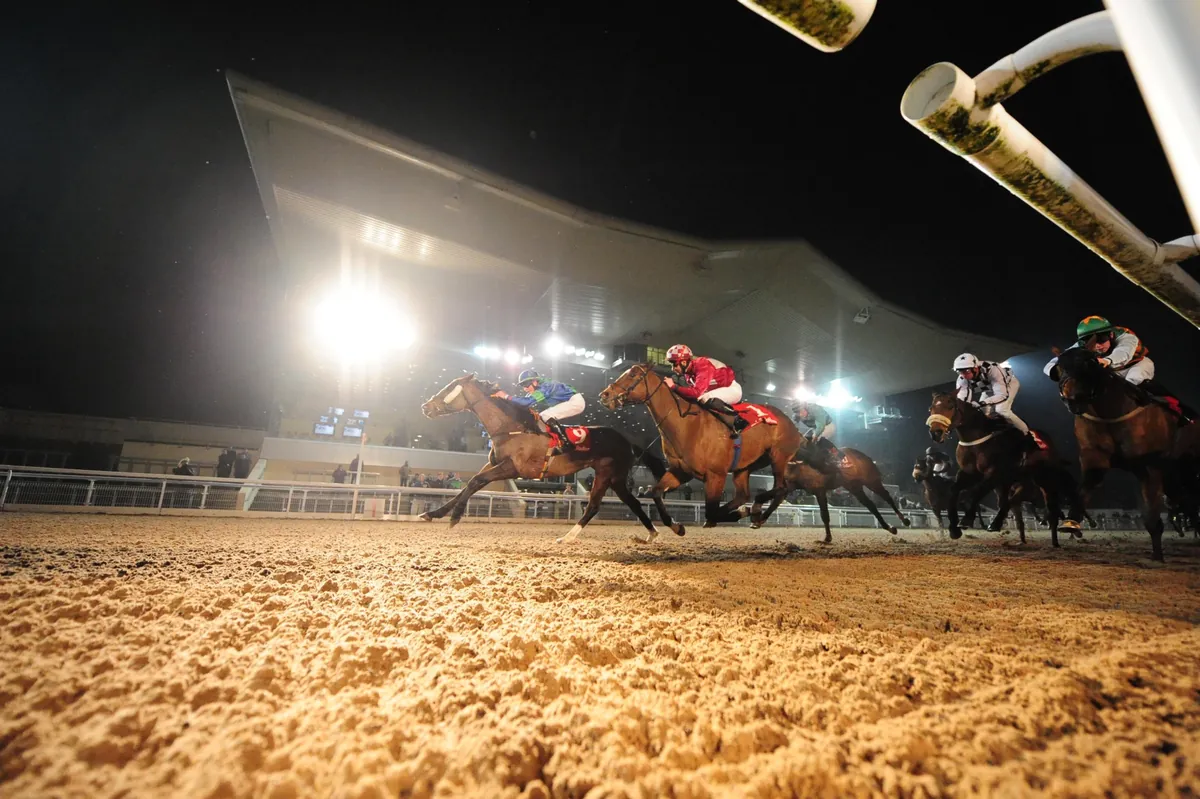 Horses kicking up the all-weather surface under the floodlights